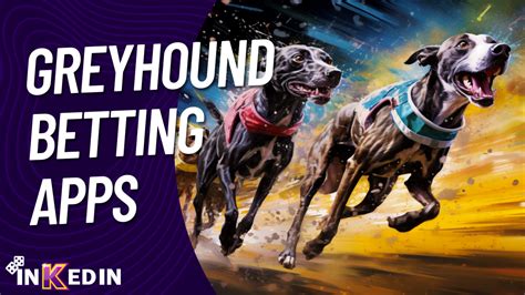 greyhound betting app|greyhound racing app.